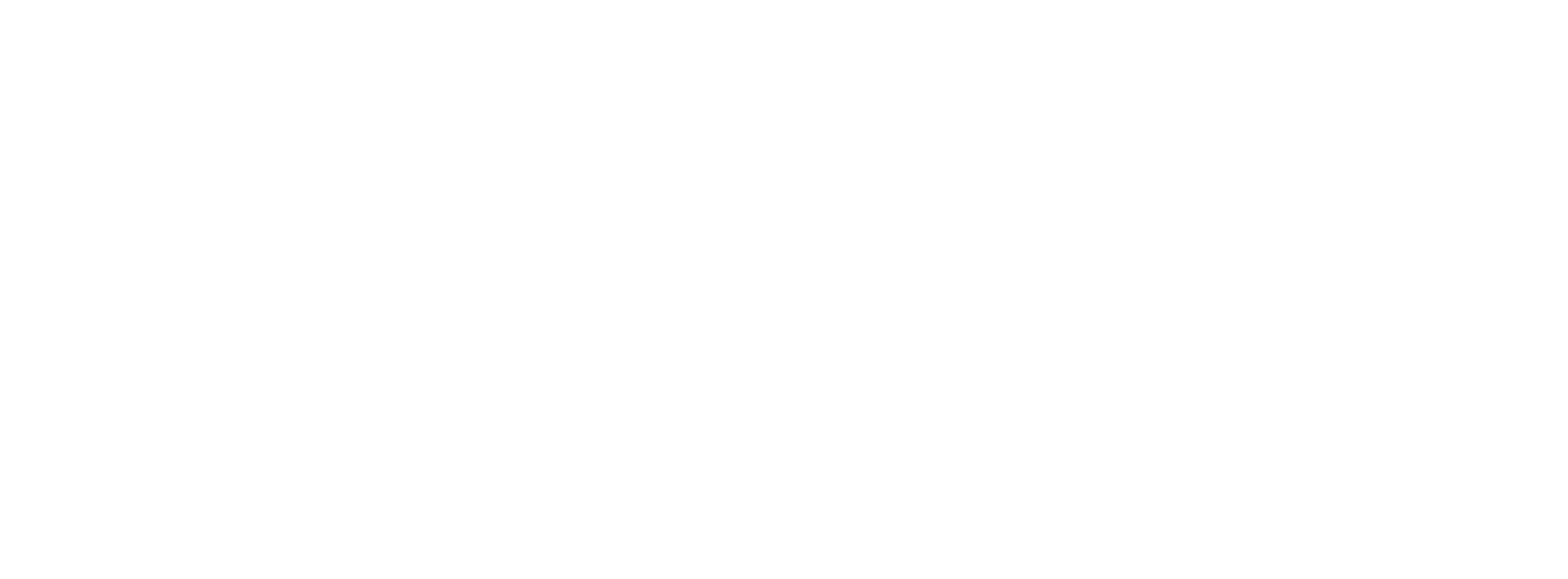 The Community Leaders Institute